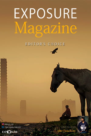 Exposure Magazine Editor's Choice